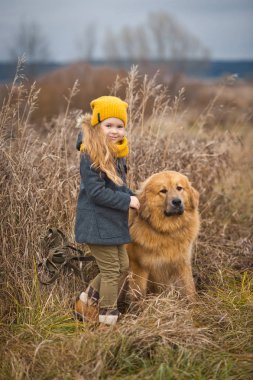 Kız sadık iyi köpek ile iki kez yürüyüş... 9759