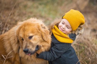 Çocuk oyun ve büyük bir kırmızı köpek 9763 yüzünü okşayarak