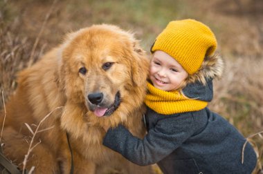 Çocuk oyun ve büyük bir kırmızı köpek 9764 yüzünü okşayarak