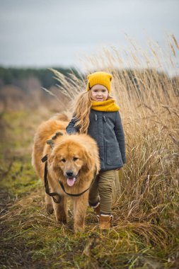 Bir çocuk ile bir köpek bir sonbahar buğday alanında 9775 kaldırımı.