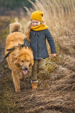 Bir çocuk ile bir köpek bir sonbahar buğday alanında 9777 kaldırımı.