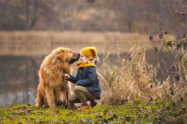 Bir çocukla 9812 gölde büyük bir köpek yürüyüş.