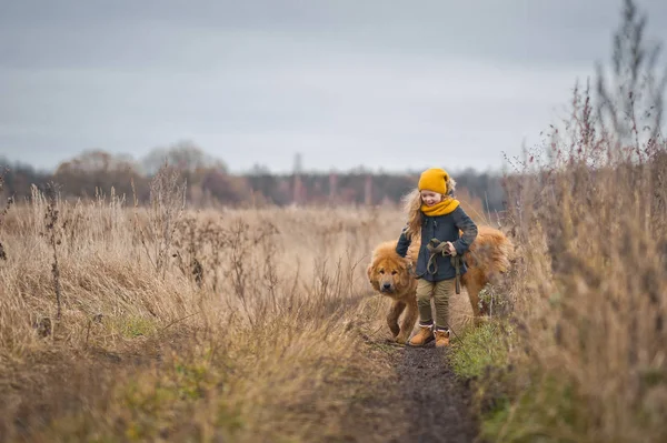 Kleines Mädchen geht mit riesigem zotteligen Hund aufs Feld 9754. — Stockfoto