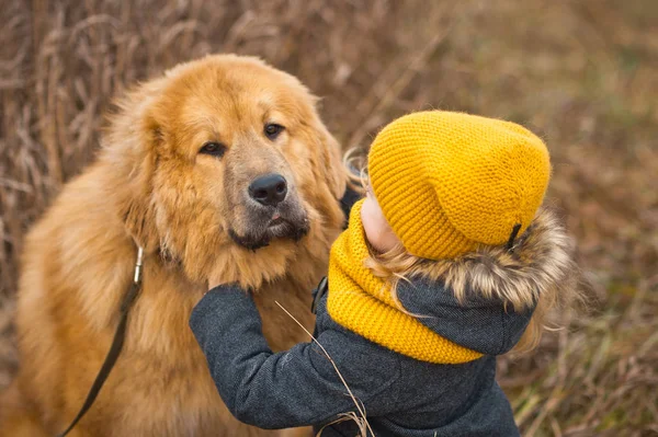 Kleines Mädchen mit gelbem Hut und Schal, das das Gesicht eines hu streichelt — Stockfoto