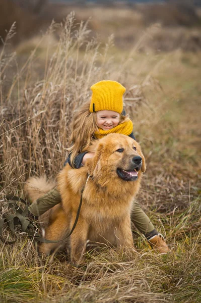 Маленькая девочка оседлала большую мохнатую собаку 9768 . — стоковое фото