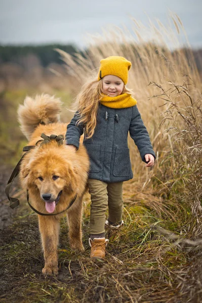 La promenade d'un enfant avec un chien dans un champ de blé d'automne 9776 . — Photo