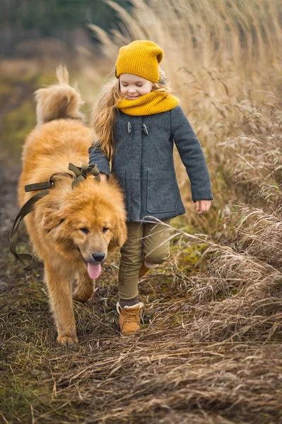 De wandeling van een kind met een hond in een herfst tarweveld 9777. — Stockfoto