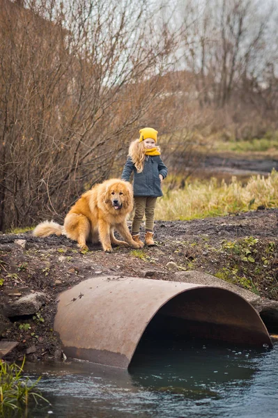 Enfant et effrayé le grand chien regardant la rivière qui fait rage 9781 . — Photo