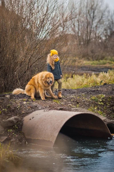 Enfant et effrayé le grand chien regardant la rivière qui fait rage 9782 . — Photo