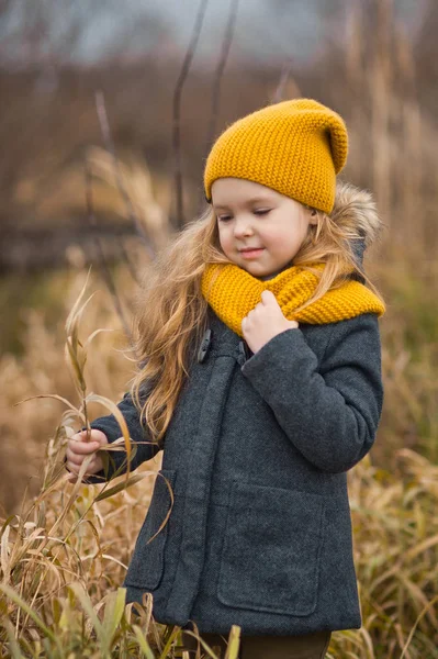 Autumn walk girl in the thickets of red grass 9784. — Stock Photo, Image