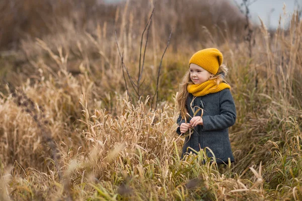 Automne fille de promenade dans les fourrés d'herbe rouge 9786 . — Photo