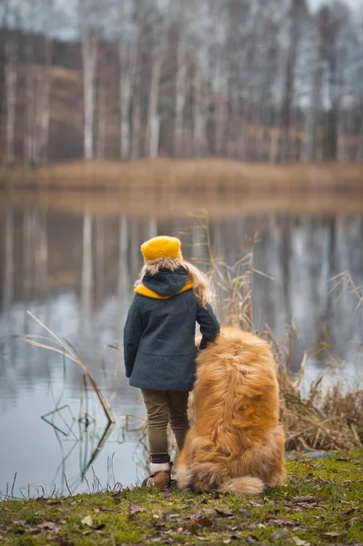 Девушка с собакой смотрит на поверхность осеннего озера 9804 — стоковое фото