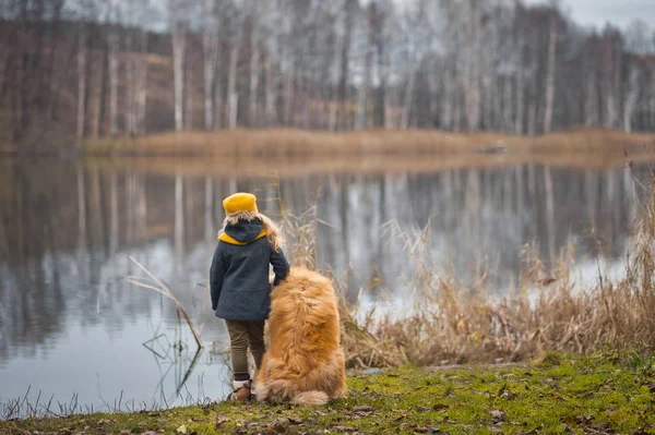 A menina com o cão olhar para a superfície de um lago de outono 9805 — Fotografia de Stock