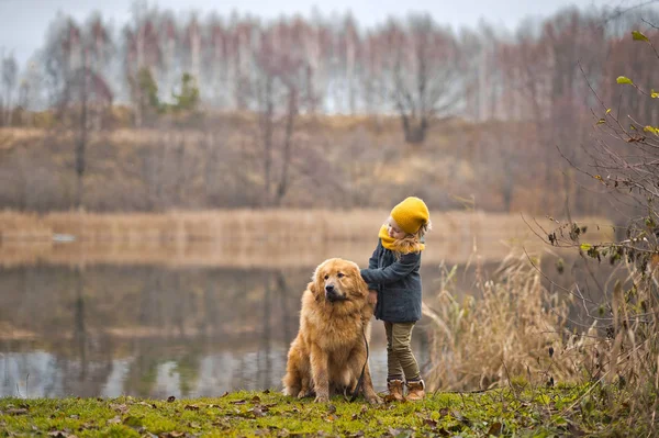 Die kleine Dame, die einen großen zotteligen Hund ausführt 9808. — Stockfoto