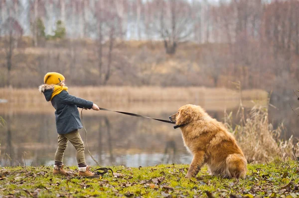 Meisje speelt met een grote waakhond aan herfst meer 9817. — Stockfoto