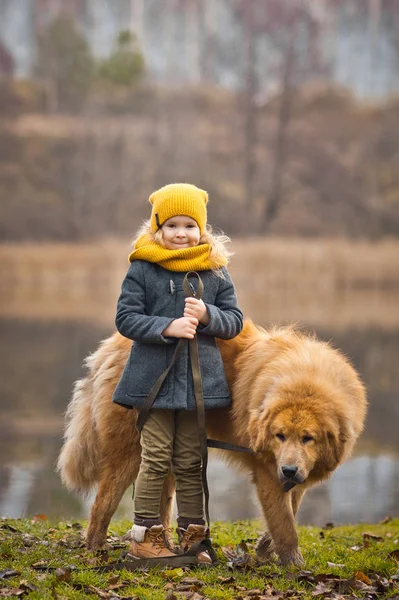 Kinderen spelen met uw favoriete viervoetige vriend 9820. — Stockfoto