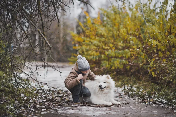 Samoyed para caminhadas ficar com o pequeno mestre 9827 . — Fotografia de Stock