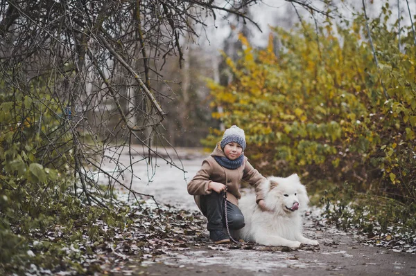 De jongen zijn sneeuwwitte Samojeed wandelen in de herfst steegjes 9829 — Stockfoto