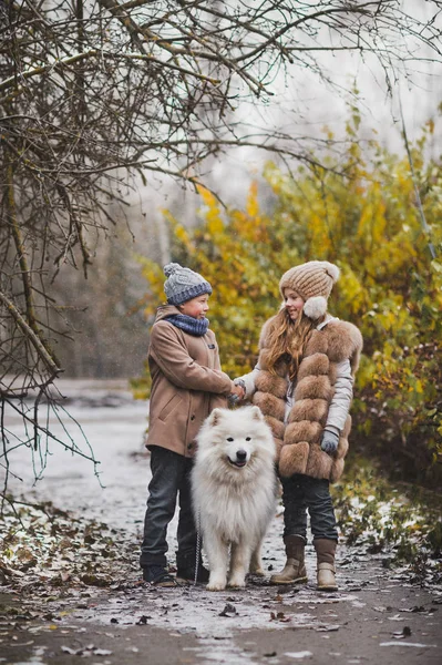 Kız ve erkek Köpekle yürüyüşe Samoyed 9834 doğurmak. — Stok fotoğraf