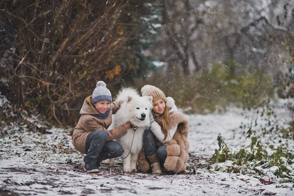 Um menino e uma menina gentilmente acariciando seu amado Samoyed 9846 . — Fotografia de Stock