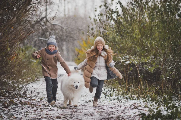 Un garçon et une fille courent une course avec un Samoyed 9851 . — Photo