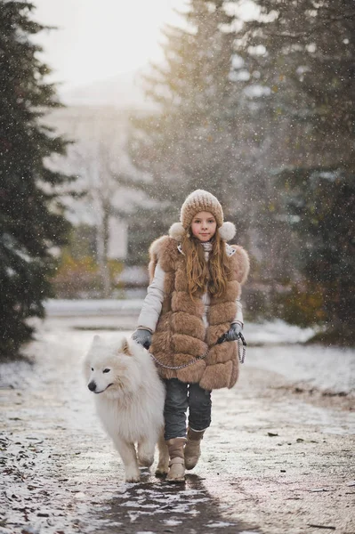 Een meisje loopt aan de leiband uw hond 9859. — Stockfoto