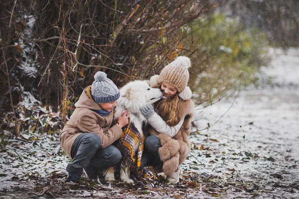 Enfants marchant dans le parc d'automne avec son chien bien-aimé 9870 . — Photo