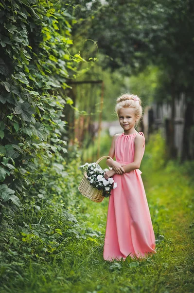 美丽的头发和长的粉红色连衣裙的女孩肖像6589. — 图库照片