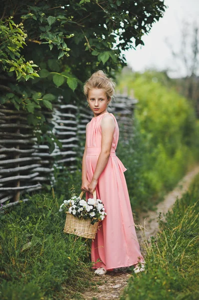婴儿的肖像在粉红色的礼服上的路径在柳条围栏6 — 图库照片