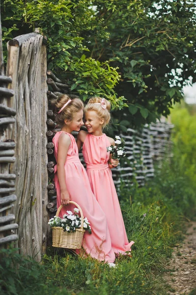 İki küçük kız arkadaşım hasır çitler 6603 vardır. — Stok fotoğraf