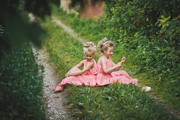 Las chicas en vestidos rosados sentadas entre caminos rurales 6625 . — Foto de Stock