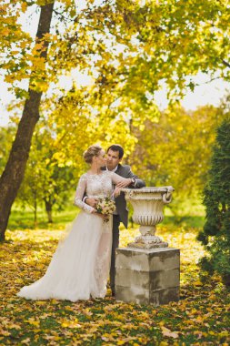 İki ayaklı 10 üzerinde vazoda eski Park içinde.