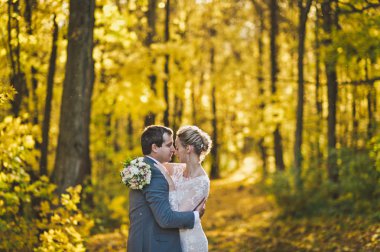 Genç çift güneşli sonbahar orman 26 arka plan üzerinde sarılma