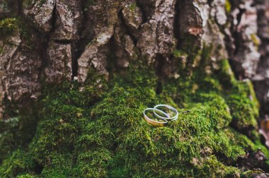 Nikah yüzükleri yeşil yosun 162 ağacının dibinde yalan.
