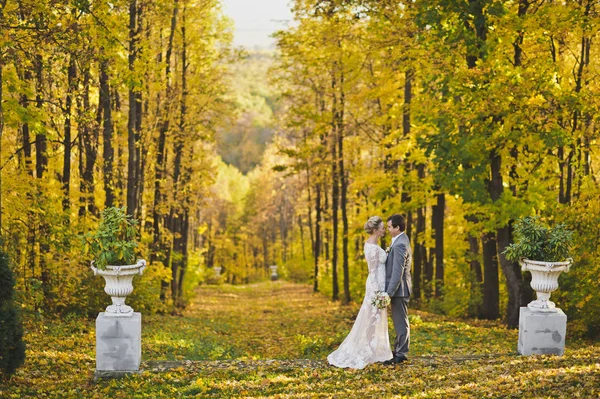 La pareja camina en un hermoso callejón de otoño 18 . — Foto de Stock