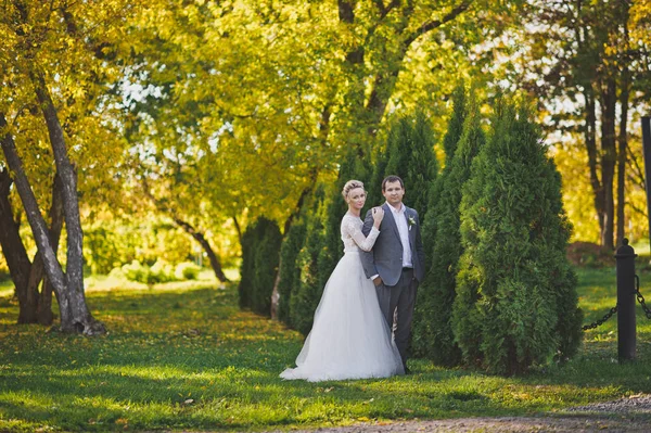 Coppia a piedi nel bellissimo vicolo autunnale 2 . — Foto Stock