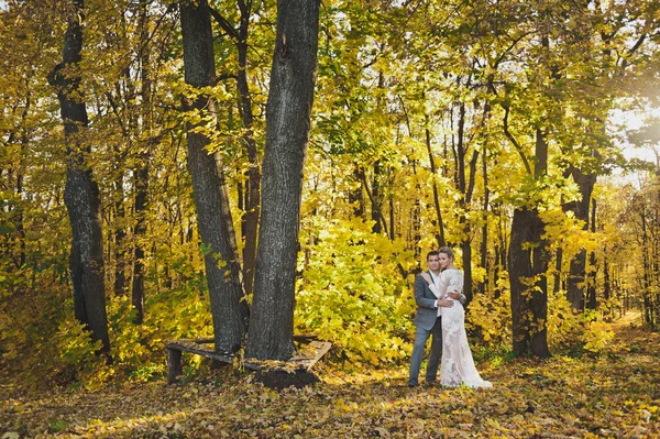 Retrato de los recién casados caminando por el callejón a principios de otoño — Foto de Stock