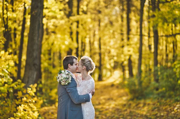 Umarmung des Brautpaares vor dem Hintergrund des sonnigen Herbstwaldes 25 — Stockfoto