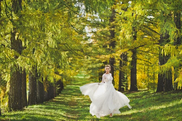 Retrato de uma noiva dançando em um fundo de abeto sombreado Ave — Fotografia de Stock