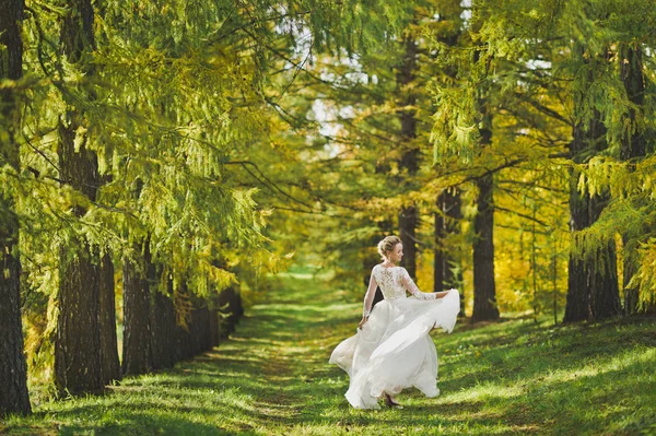 Η νύφη γυρίζοντας σε τις αναπτυσσόμενες λευκό φόρεμα με φόντο o — Φωτογραφία Αρχείου