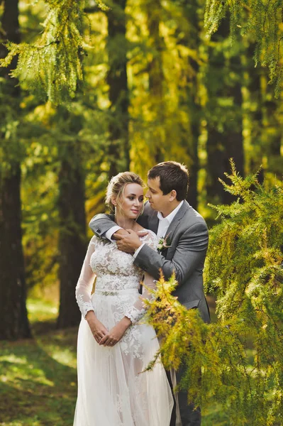 Newlyweds on the background of spruce forests 73. — Stock Photo, Image