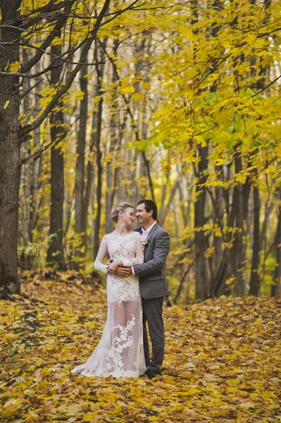 Retrato em pleno crescimento dos recém-casados que abraçam em um backgrou — Fotografia de Stock