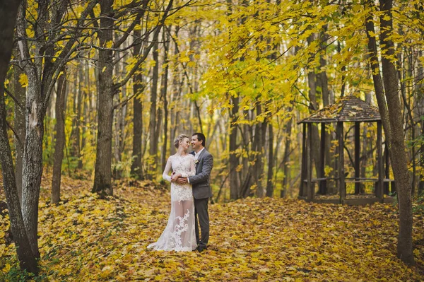 Retrato em pleno crescimento dos recém-casados que abraçam em um backgrou — Fotografia de Stock