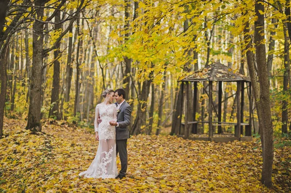 O casal na floresta de outono 178 . — Fotografia de Stock