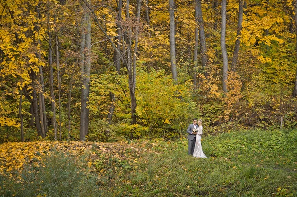Hermoso paisaje otoñal y una joven pareja caminando lejos en el — Foto de Stock
