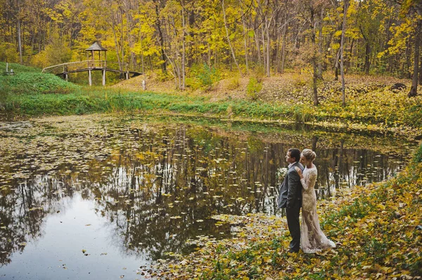 Un portrait rêveur des jeunes mariés sur le rivage d'un lac forestier — Photo