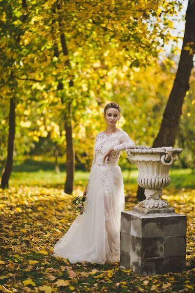 La novia camina por el jardín de otoño 212 . — Foto de Stock