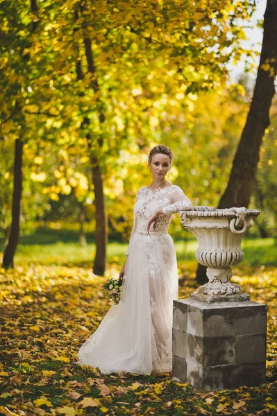 La novia camina por el jardín de otoño 213 . — Foto de Stock