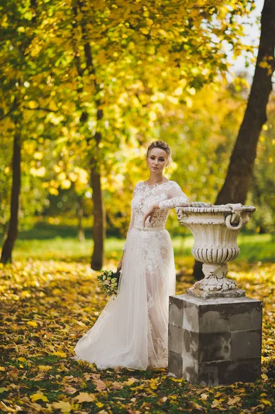 La mariée marche à travers le jardin d'automne 214 . — Photo