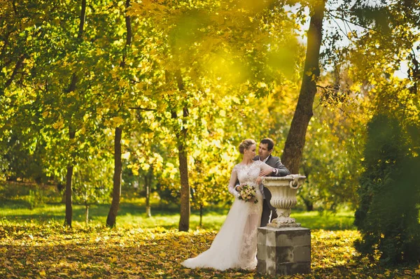 Něžném objetí novomanželé na pozadí krásná — Stock fotografie